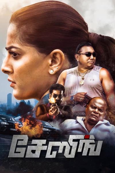 Chasing poster