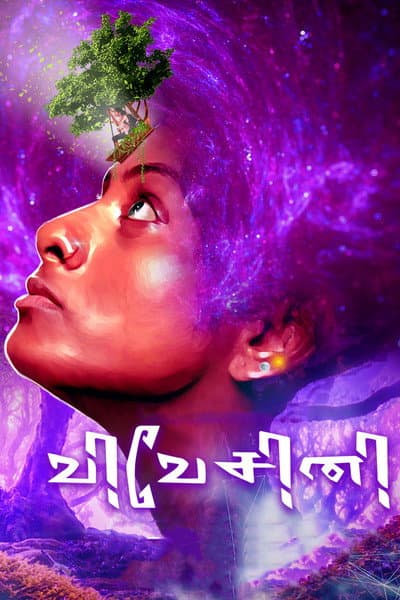 Vivesini poster