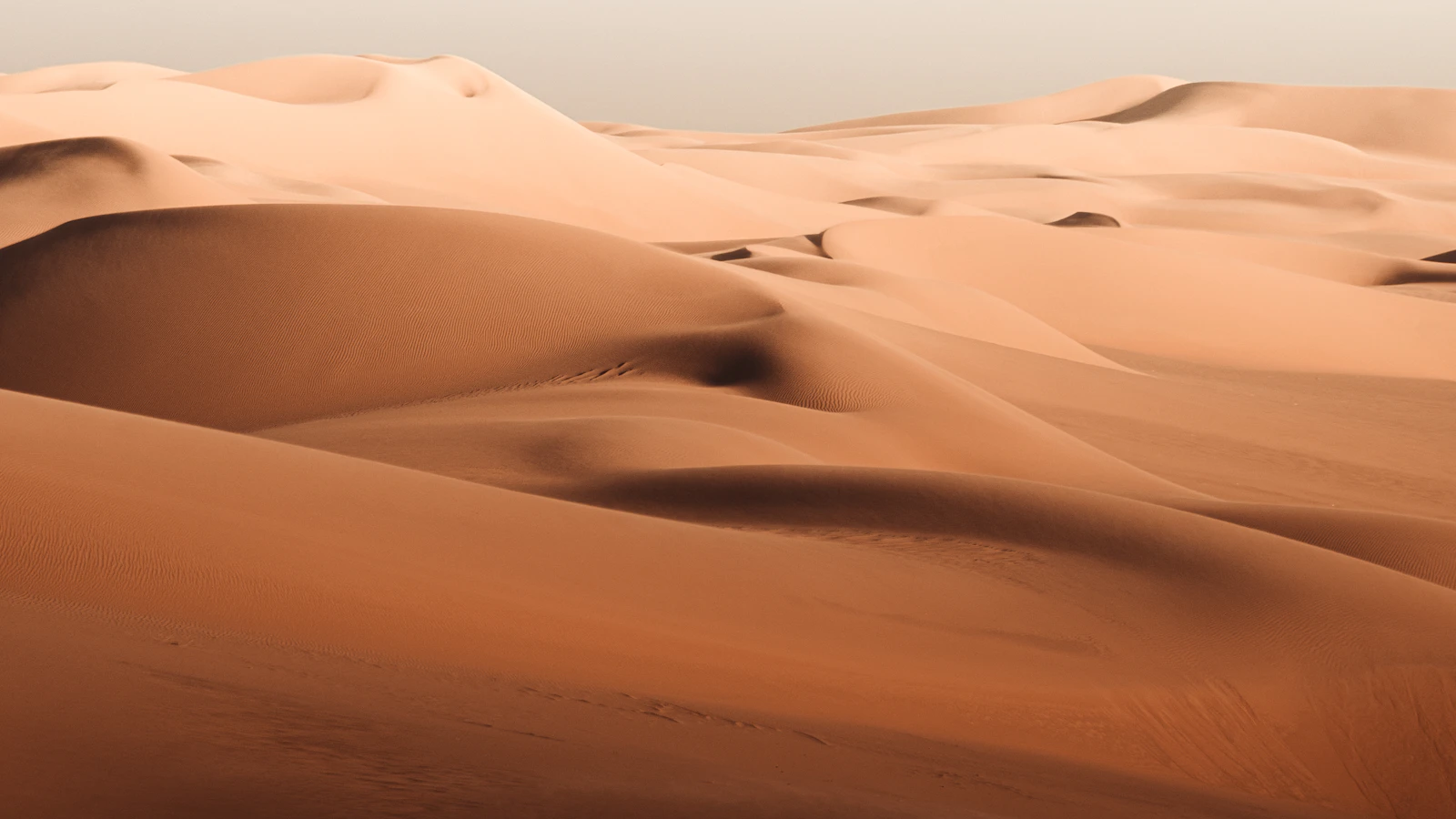 A vast expanse of rippling rust-orange sand dunes stretching to the horizon under a pale sky